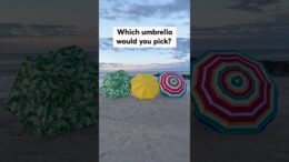 Which Beach Umbrella Would You Pick? #Shorts 13
